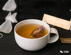 茶水能浇花草吗 隔夜茶水浇花的正确方法