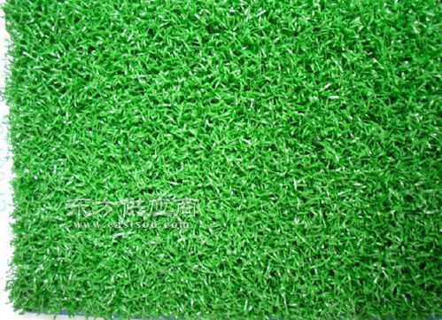 草坪价格一平米多少钱 草坪一般多少钱一个平方