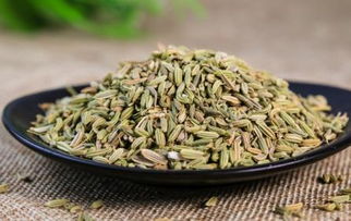 茴香跟孜然是一种东西吗 小茴香与孜然图片