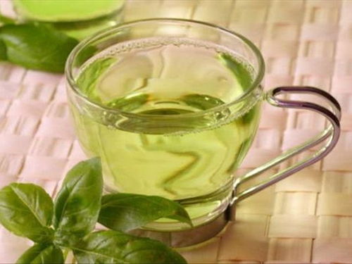 茶叶水浇花的功效与作用 隔夜茶水能直接浇花吗