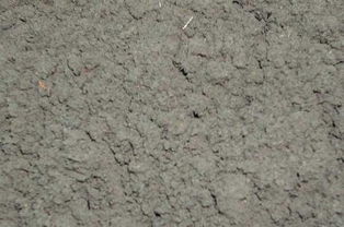 草木灰的主要成分的化学式 草木灰主要成分是