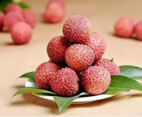 荔枝代表什么爱情暗示 荔枝的花语 只爱你一人