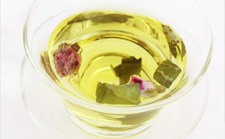 荷叶泡水喝竟有6个害处 荷叶茶的正确喝法