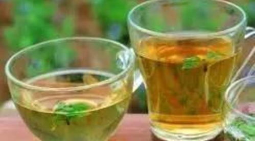 荷叶为什么叫短命茶 荷叶茶越喝湿气越重吗