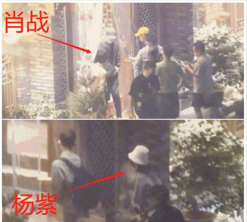 荔枝暗示什么关系 荔枝的暗语是什么意思