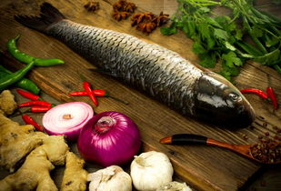 草鱼夏天一个月能长多大 草鱼光喂草一年长几斤