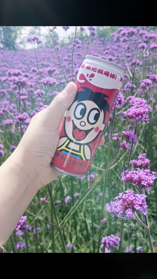 莫问花开几许 唯有花香如故 唯有花香如故出自