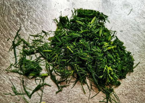 莳萝就是茴香菜吗 莳萝跟茴香有啥差别