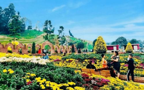 菊花古代雅称叫什么 菊花雅称大全