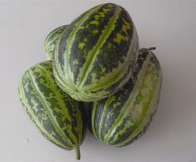 菜瓜可以直接生吃吗 菜瓜的十种最佳吃法