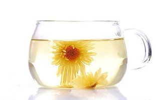 菊花茶可以减肥吗 喝菊花茶6大害处