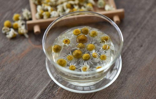 菊花配什么去掉寒性 菊花茶十大最佳搭配