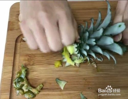 菠萝的种植方法和技术 吃剩下的菠萝头怎么种植