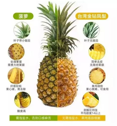 菠萝和凤梨的区别在哪里 凤梨和菠萝的保存方法