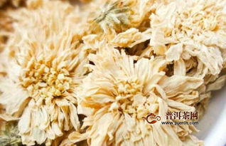菊花能长期泡水喝吗 菊花茶一般喝几天停几天