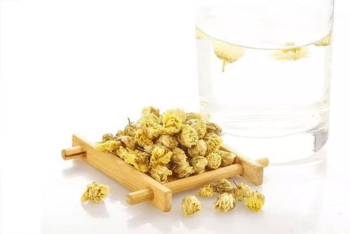 菊花茶夏天可以喝吗 菊花茶三种人不宜喝