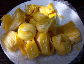 菠萝蜜的核儿的吃法 菠萝蜜核吃多少中毒