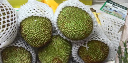 菠萝蜜是谁和谁的杂交 菠萝蜜为什么一股榴莲味