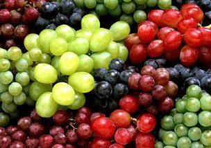 葡萄有什么污的含义 葡萄的暗语是什么