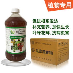 营养液是浇根部还是喷叶面 营养液几天浇一次