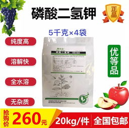 葡萄什么时候不能浇水 葡萄浇水顺口溜
