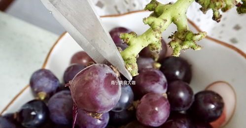葡萄不洗能吃吗 葡萄不洗直接剥皮吃可以不