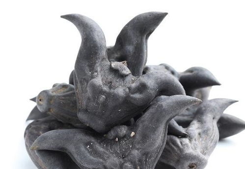 菱角寄生虫是在表面还是里面 菱角煮多久杀死寄生虫