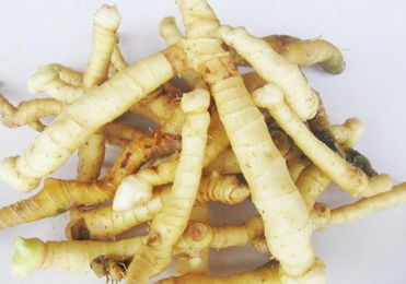 葳蕤和玉竹的区别 玉竹对男性性功能的影响
