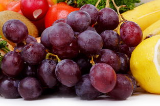 葡萄籽夏天怎么种 吃的葡萄籽种出来能结葡萄吗