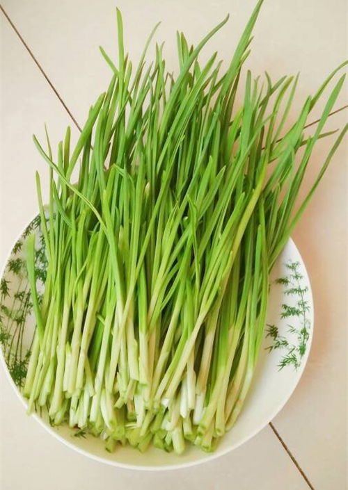 蒜苔放了10天了还能吃吗 蒜苔在家放20天可以吗