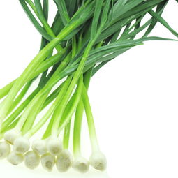 蒜苗上有蓝色药水痕迹可以吃 蒜苔上有蓝色药水痕迹可以吃吗