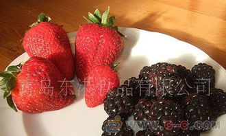 蓝莓冷冻5个月可以吗 冻的蓝莓怎么解冻才好吃
