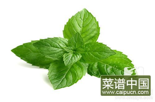 薄荷叶有毒吗 薄荷叶吃了会中毒吗