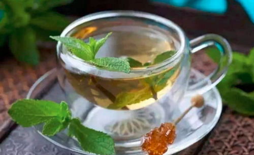 薄荷茶怎么泡 薄荷泡水喝竟有6个害处