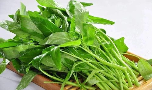 藤藤菜和空心菜是一种吗 空心菜是“万毒之王”