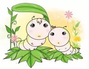 蚕宝宝可以饿几天 蚕宝宝认识主人吗