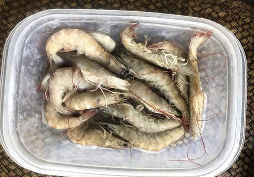 虾冷藏了腿和尾巴变黑了 解冻过的虾变黑了有毒吗