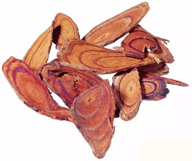 血藤和鸡血藤有什么区别 鸡血藤男人吃能壮阳吗