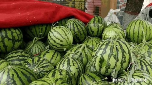 西瓜怎么挑选才好吃又甜 挑西瓜最好的三个方法