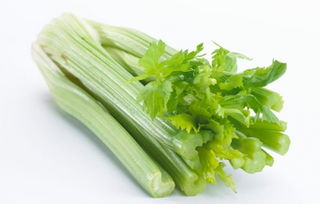西芹和芹菜哪个营养好 芹菜怎么吃降血压最好