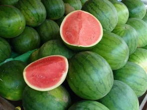 西瓜还能卖到几月结束 西瓜没开放一个月能吃吗