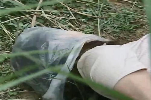 说女人是棉花啥意思 形容一个人是棉花是什么意思
