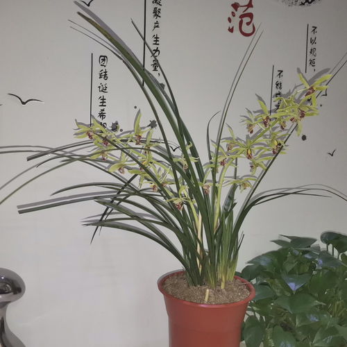 谦谦君子下一句 谦谦君子是好话吗