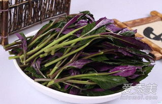 观音菜为什么说晚上不能吃 观音菜为何能致癌