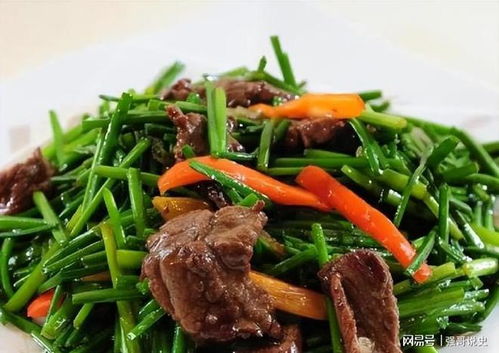 观的含义是什么意思 观指的是什么