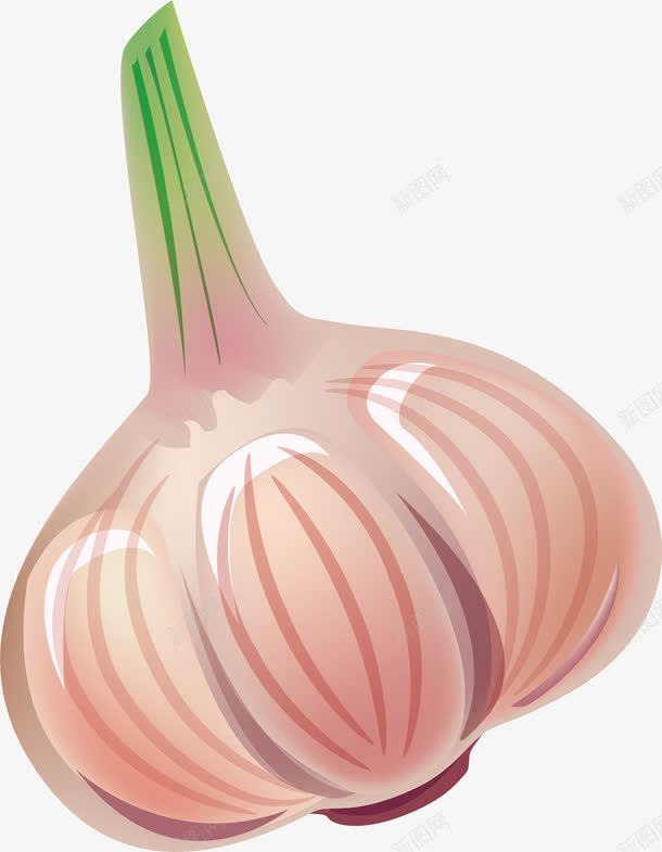 调料和佐料的区别 调料佐料种属关系