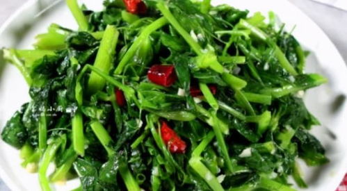 豌豆尖一年四季都可以种吗 7月可以种豌豆尖吗