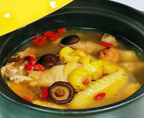 豆角几月份就不结了 立秋种豆角还能结吗