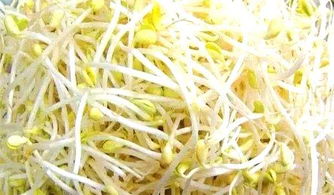 豆芽一定要一根一根去掉根吗 豆芽去根太麻烦了