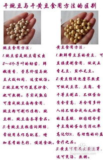 豌豆晒干了是黄豆吗 怎么区分干豌豆和干黄豆